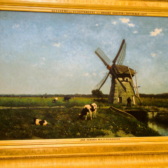 rotterdam museo arte