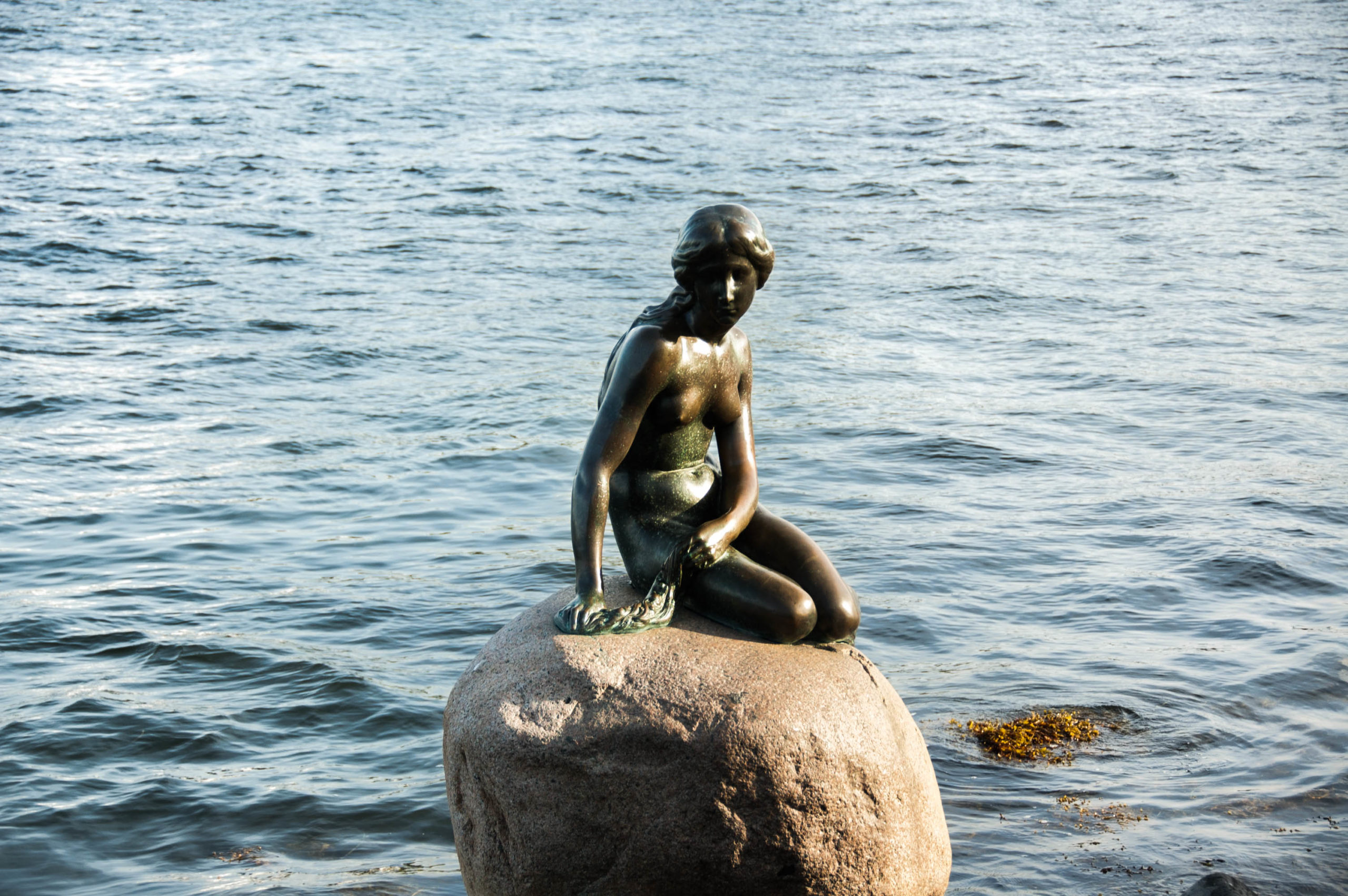 sirenetta copenaghen