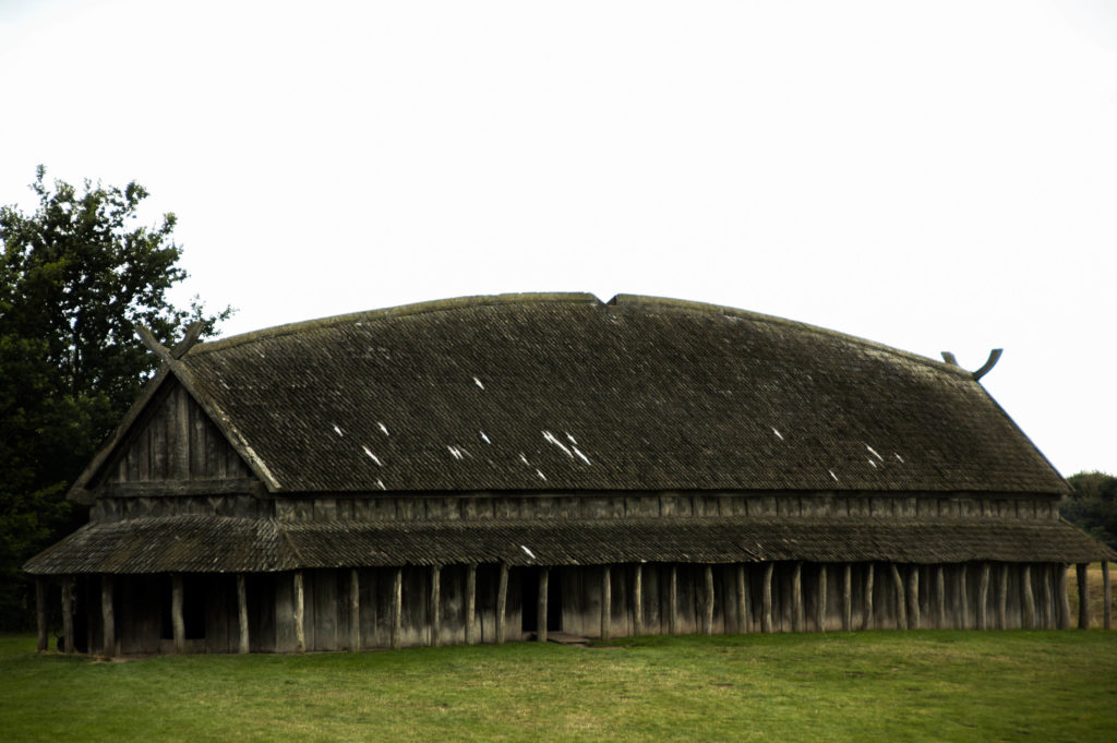 Ribe