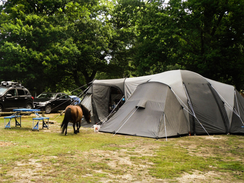 New Forest campeggio