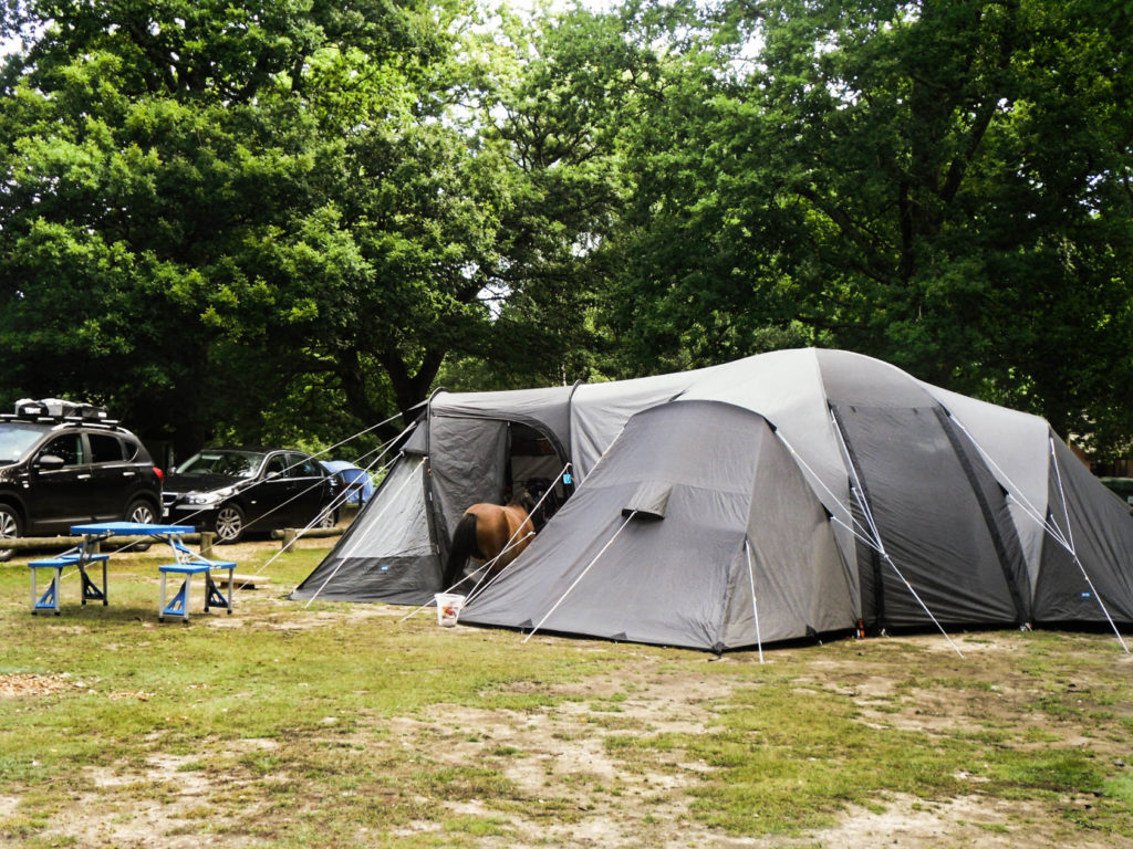 New Forest campeggio