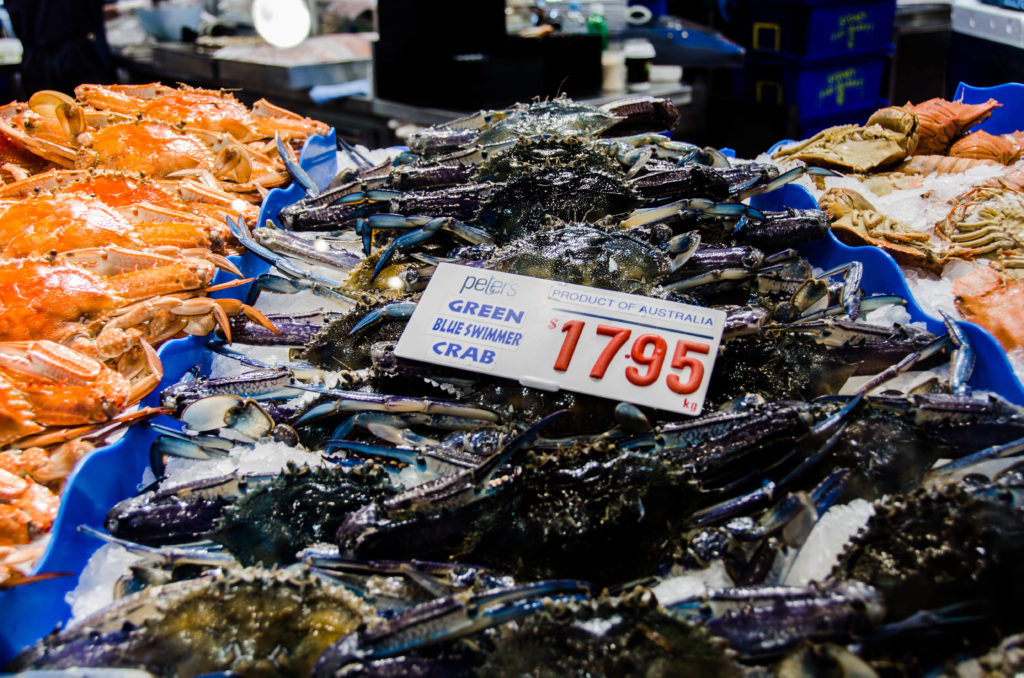Sydney mercato pesce