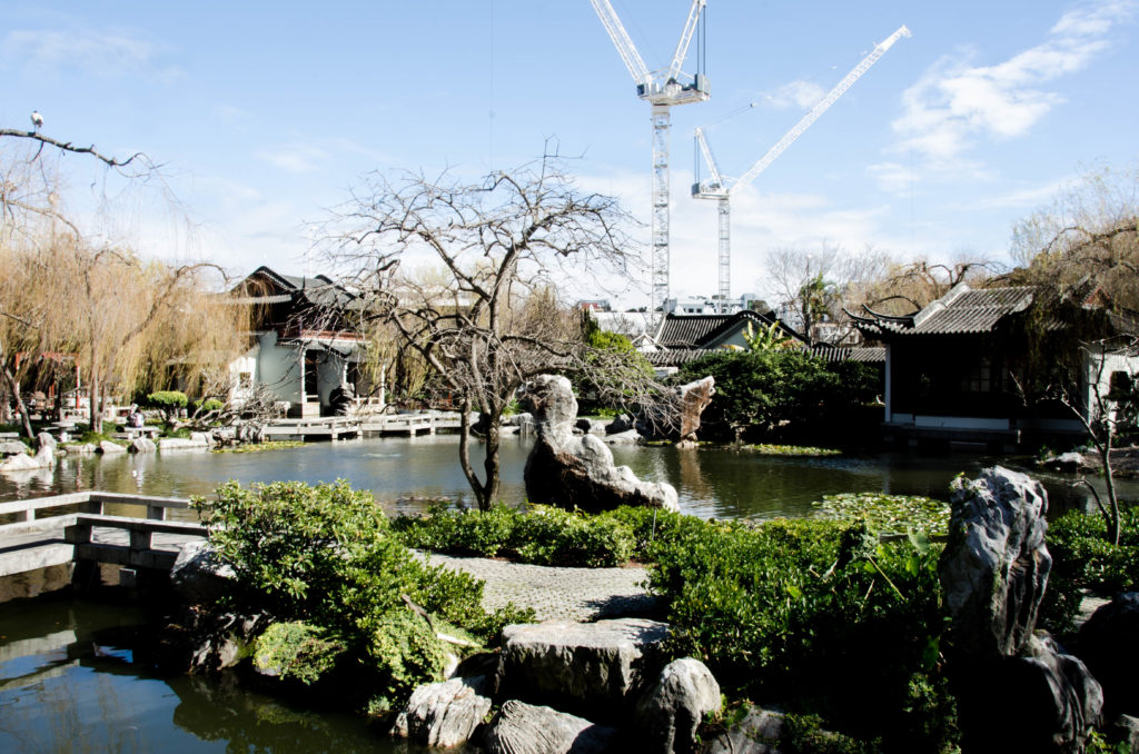 Sydney tea house