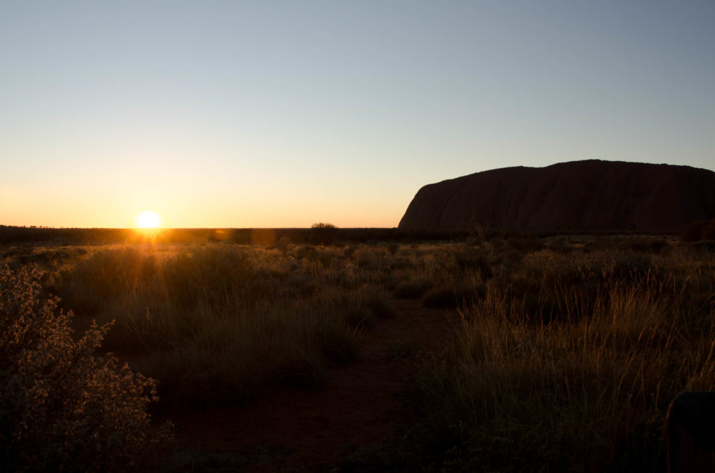 Ayers Rock alba