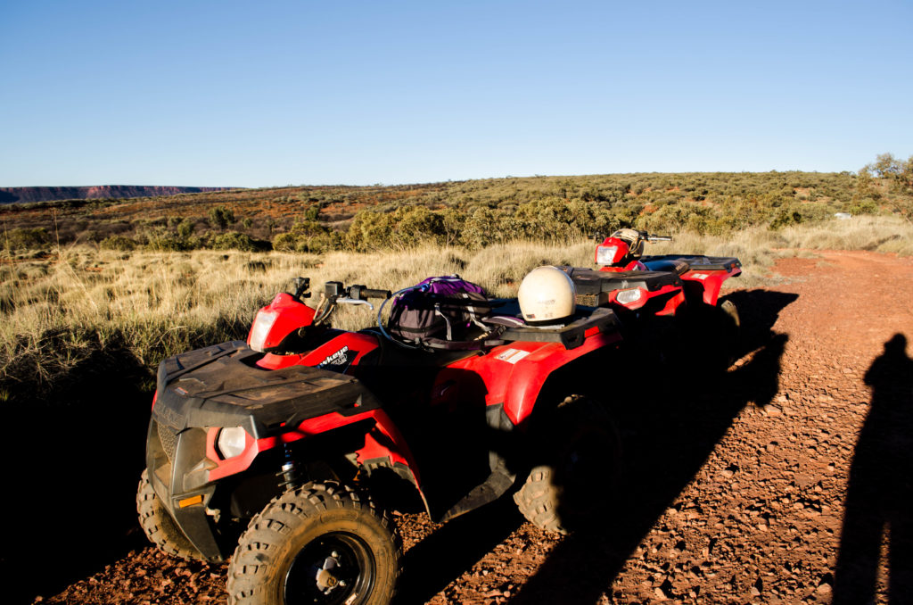 Kings Canyon Quad