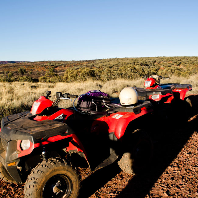 Kings Canyon Quad