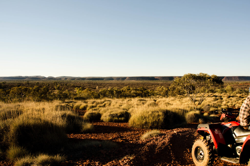 Kings Canyon Quad
