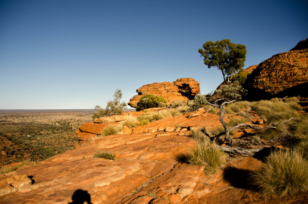 Kings Canyon,