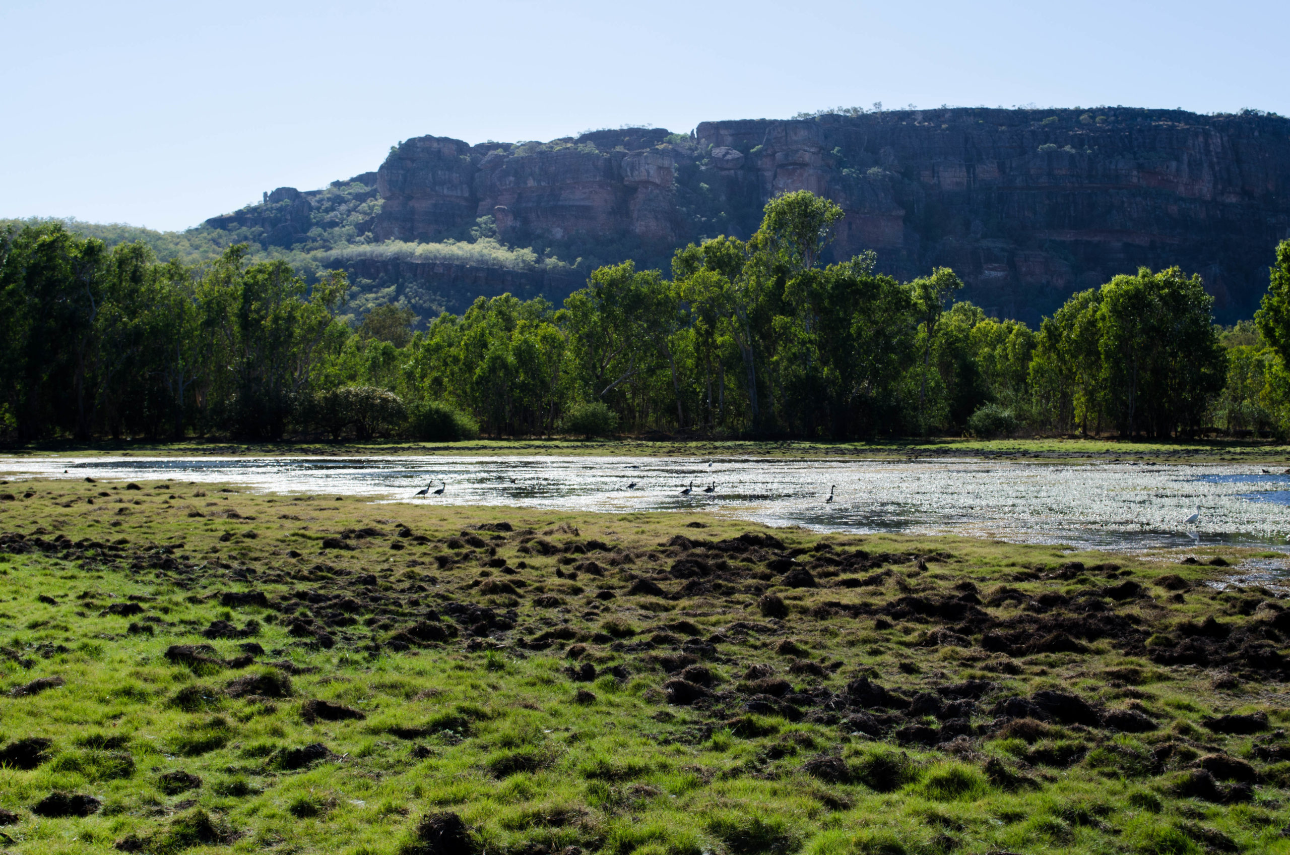 Kakadu National Park