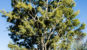 Kakadu National Park