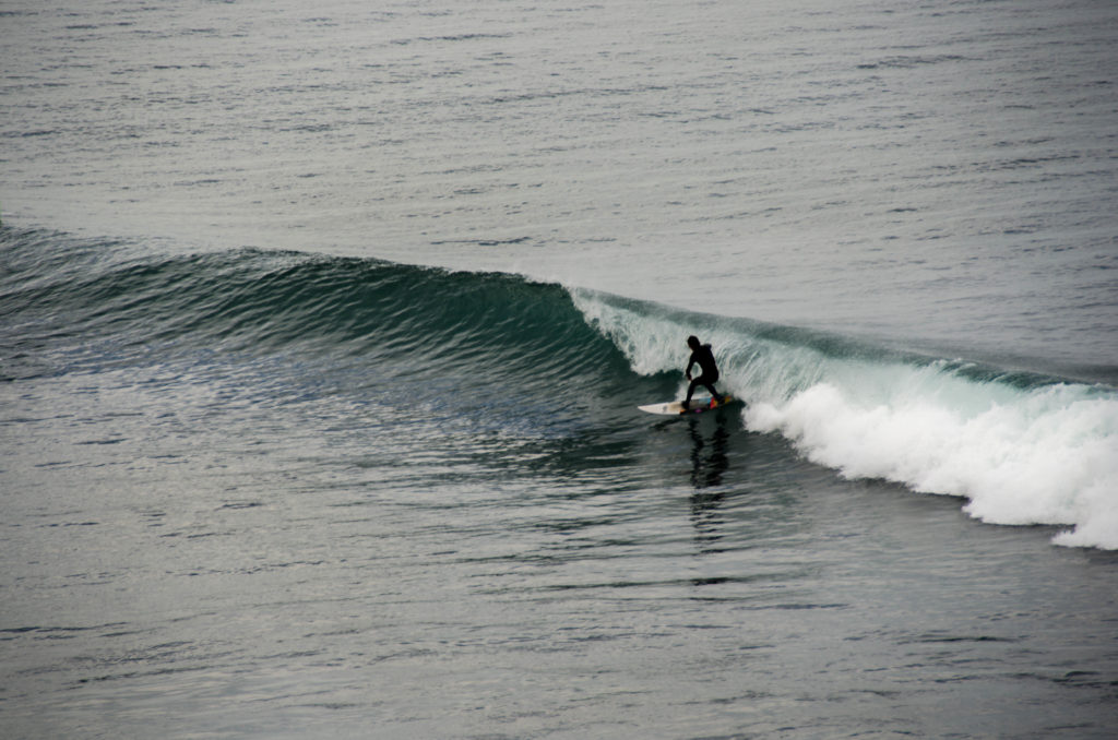 surfisti australiani