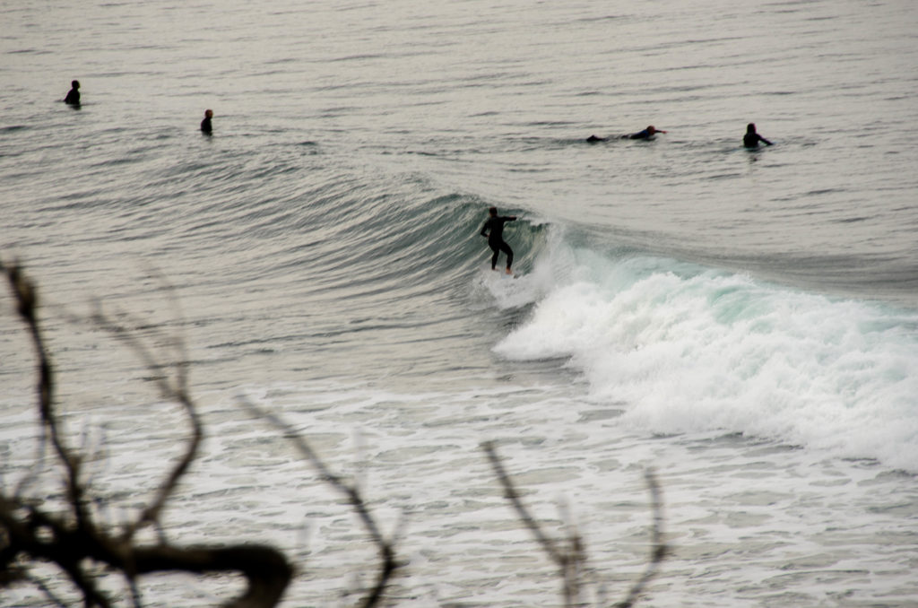 surfisti australiani
