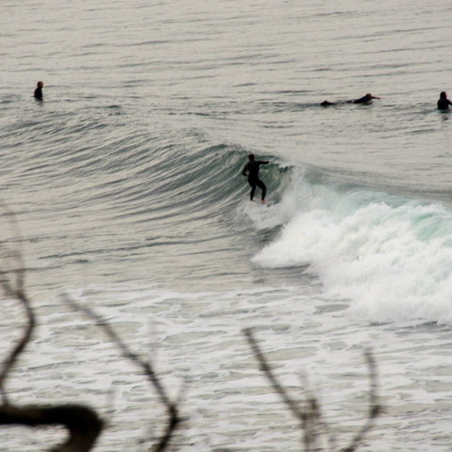 surfisti australiani