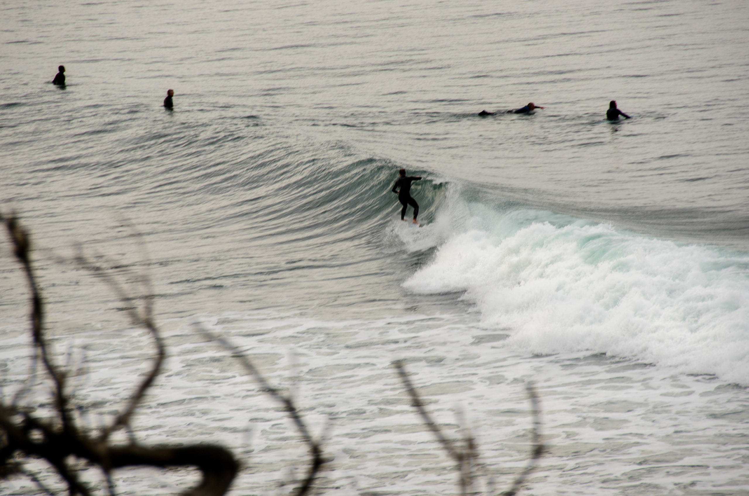 surfisti australiani