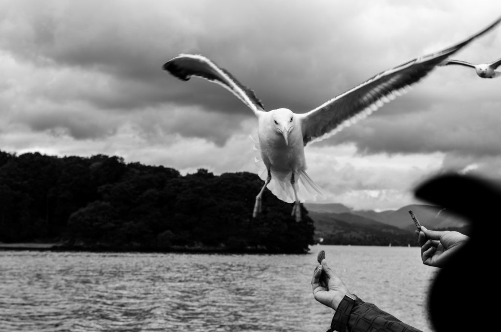 lago di Windermere