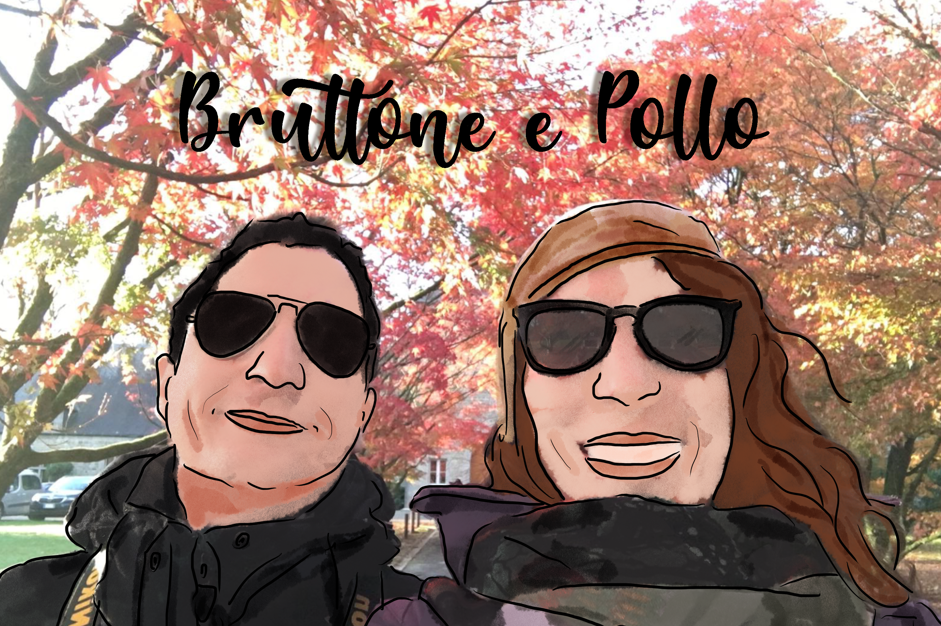 copertina bruttone pollo