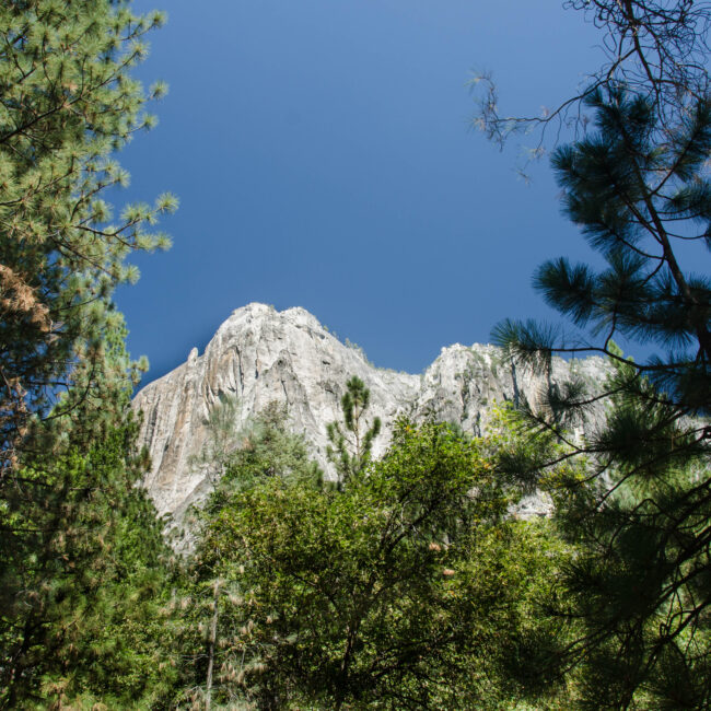 Yosemite view