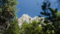 Yosemite view