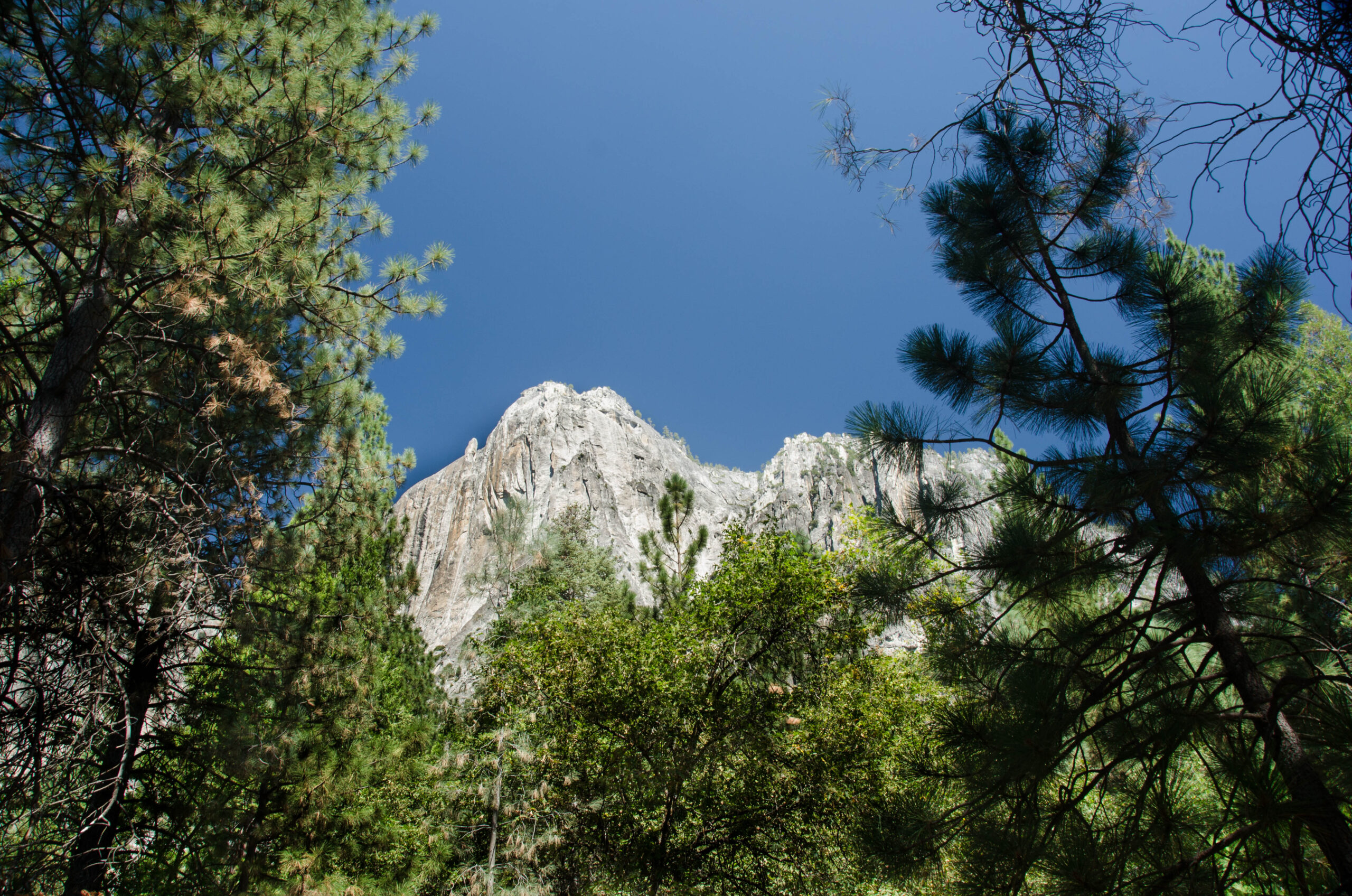 Yosemite view