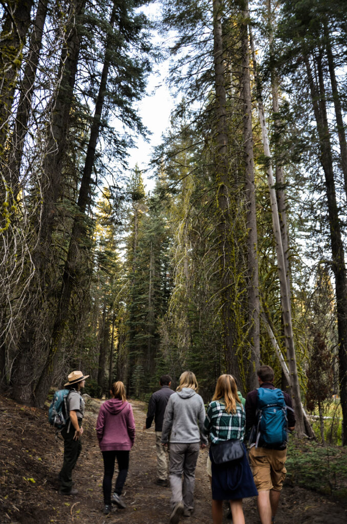 Yosemite visita guidata