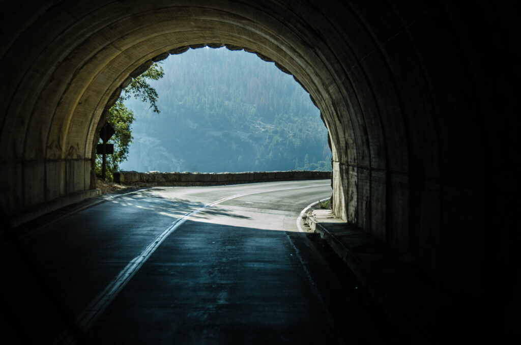 in viaggio verso sequoia park